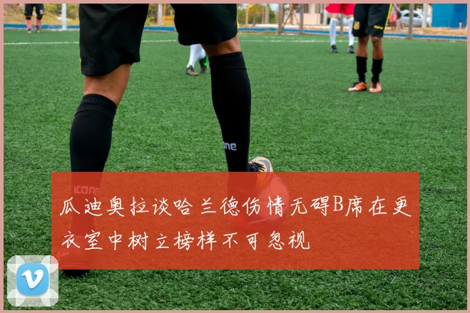 瓜迪奥拉谈哈兰德伤情无碍B席在更衣室中树立榜样不可忽视