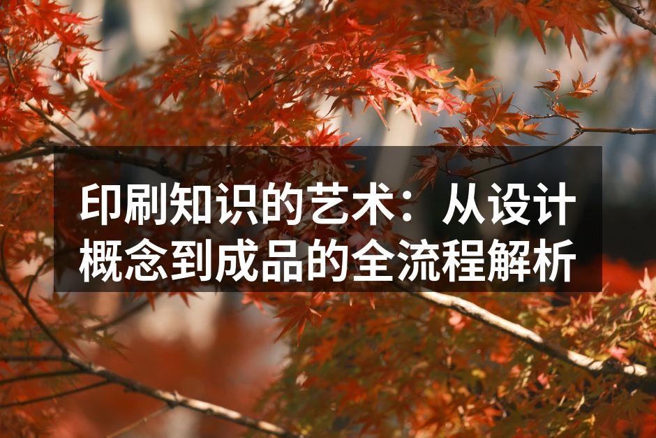 印刷流程中的关键环节